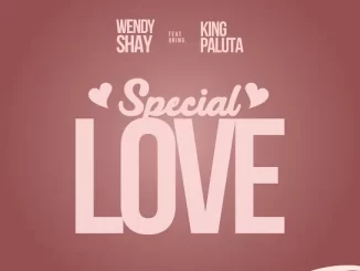 Wendy Shay – Special Love Ft. King Paluta