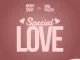 Wendy Shay – Special Love Ft. King Paluta